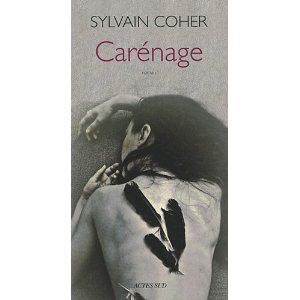 Lire la suite à propos de l’article CARENAGES – Sylvain Coher