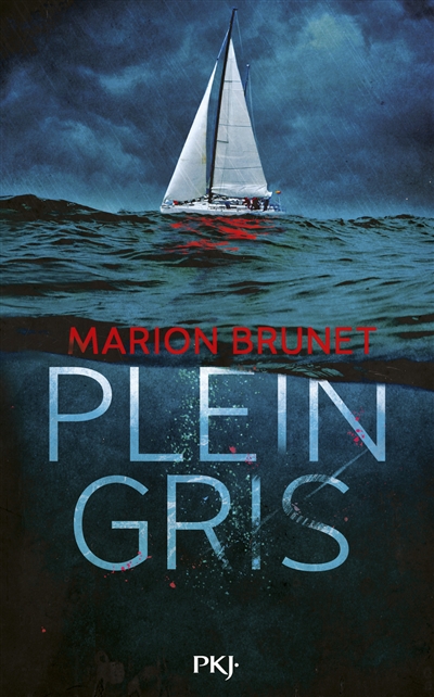 Lire la suite à propos de l’article PLEIN GRIS – Marion Brunet