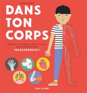 Dans ton corps découvre l'intérieur de ton corps grâce à des pages transparentes ! par Hannah Alice, aux éditions Père Castor, à 12,90€