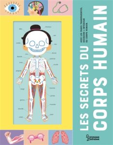 Les secrets du corps humain illustré par Mélisande Luthringe Chez Larousse jeunesse à 14,95€